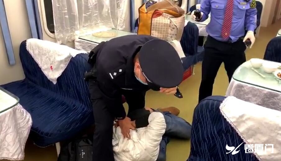 拒不出示有效证件和车票,还辱骂,殴打前来劝阻的乘警和列车员,被铁路