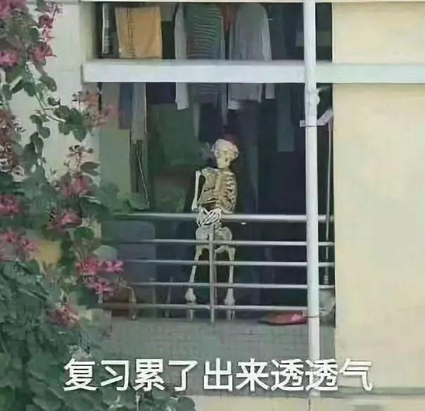 让我来看一看你的脑,生理生化必有一挂,病理病生九死一生医学生你的