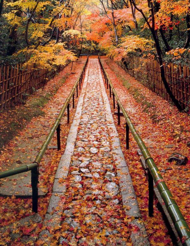 蟒山国家森林公园|京郊赏红叶的最佳选择！离市区近交通非常方便，现在去正合适！