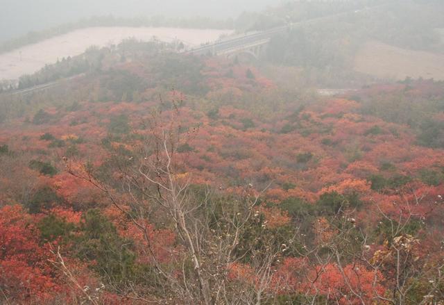 蟒山国家森林公园|京郊赏红叶的最佳选择！离市区近交通非常方便，现在去正合适！