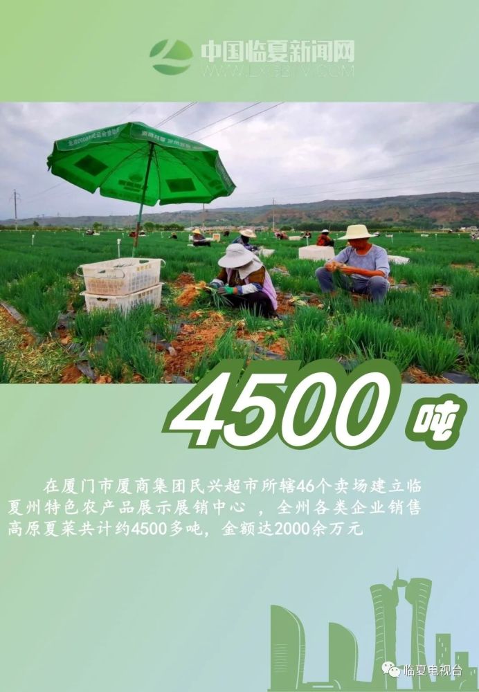 微海报数说厦临携手奔小康