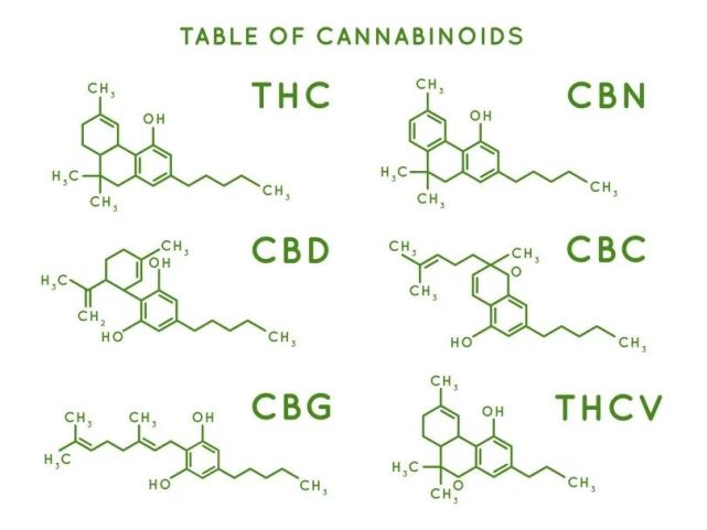 Delta8 Thc 机遇还是黑洞 汉麻视界 工业大麻资讯网