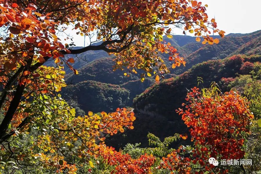 秋风落山红醉美马泉沟