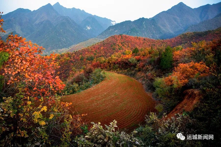 秋风落山红醉美马泉沟