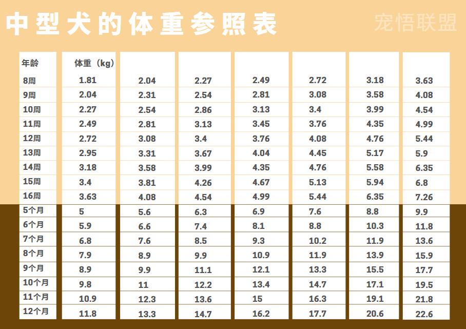 想知道你的狗狗未来长多重吗 腾讯新闻