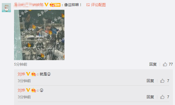 诺一|刘烨接儿子放学，诺一被老师留堂，老父亲趴窗外偷拍自侃狗仔超逗