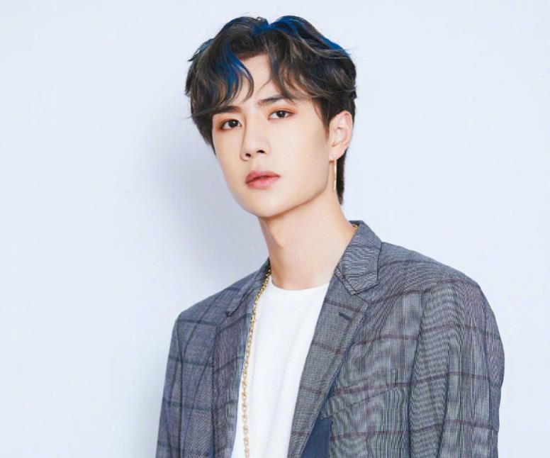 王一博|操作真骚！王一博肖战接连因综艺成为热议焦点，播出平台难辞其咎