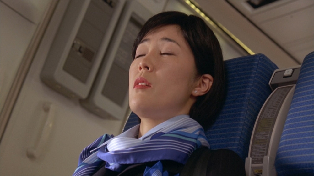 欢乐喜剧电影,飞机起飞遇鸟群撞击,惊魂一刻,美丽空姐和机长高空化险