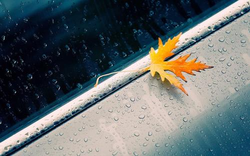 古诗|有些年轻人文化不高，却会写意境不错的古诗，他们是如何做到的？