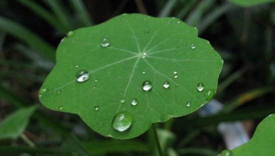 古诗|有些年轻人文化不高，却会写意境不错的古诗，他们是如何做到的？