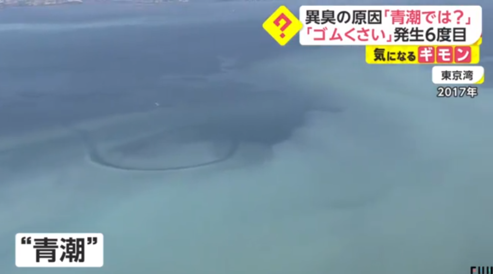 神奈川县多地都能闻到不明异臭 专家推测是这三种情况导致 腾讯新闻