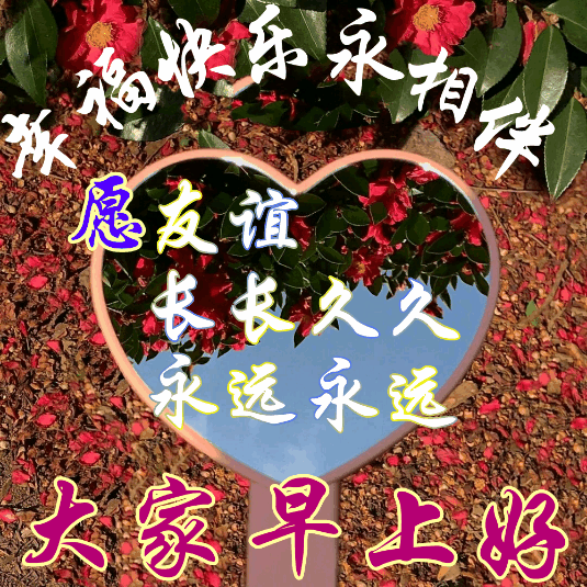 12月30日新的一天非常漂亮的早上好图片简短的早安问候语