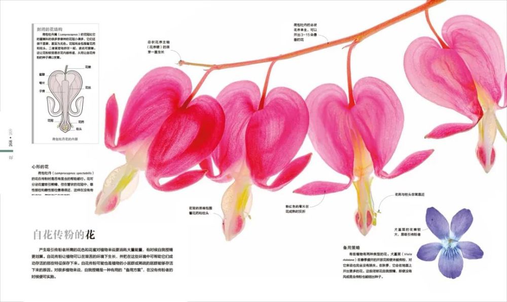 香山|爬香山看红叶，朋友圈文案除了美，还能写啥？急，在线等！