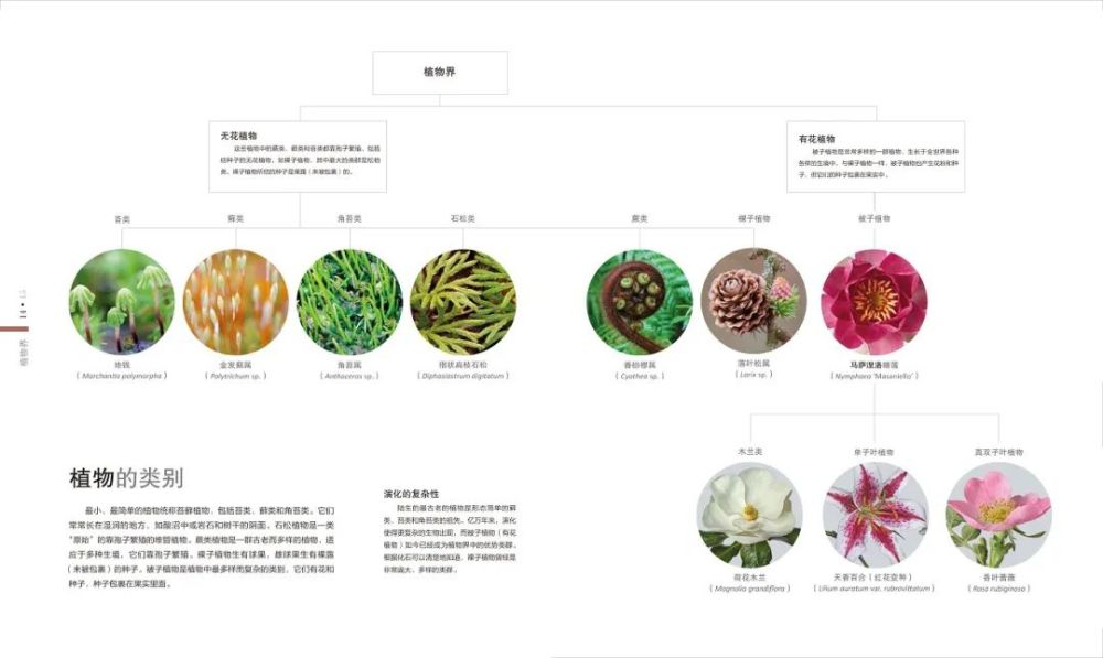 香山|爬香山看红叶，朋友圈文案除了美，还能写啥？急，在线等！