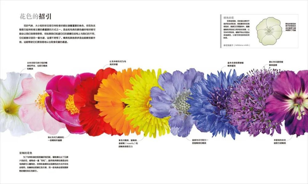 香山|爬香山看红叶，朋友圈文案除了美，还能写啥？急，在线等！