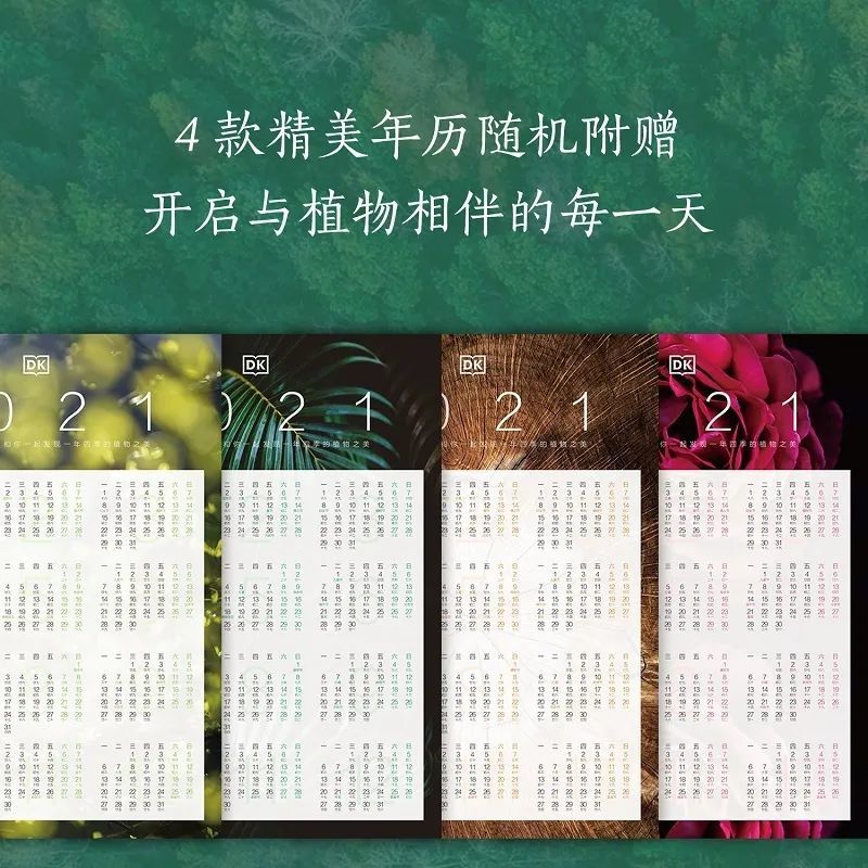 香山|爬香山看红叶，朋友圈文案除了美，还能写啥？急，在线等！