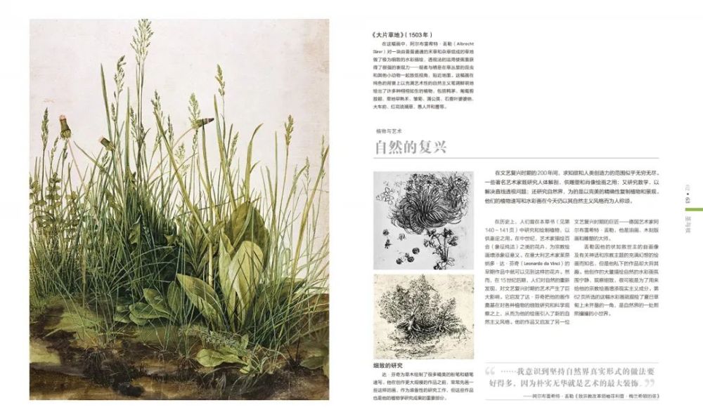 香山|爬香山看红叶，朋友圈文案除了美，还能写啥？急，在线等！