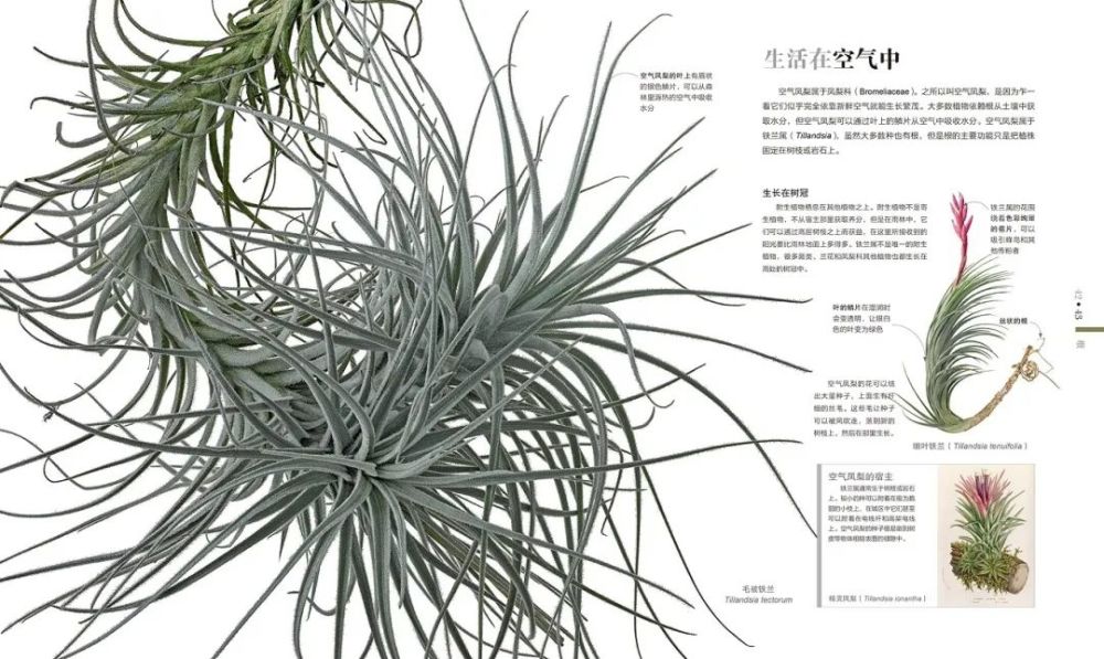 香山|爬香山看红叶，朋友圈文案除了美，还能写啥？急，在线等！