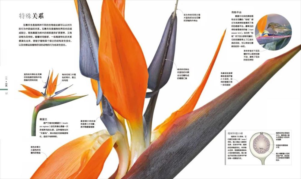 香山|爬香山看红叶，朋友圈文案除了美，还能写啥？急，在线等！