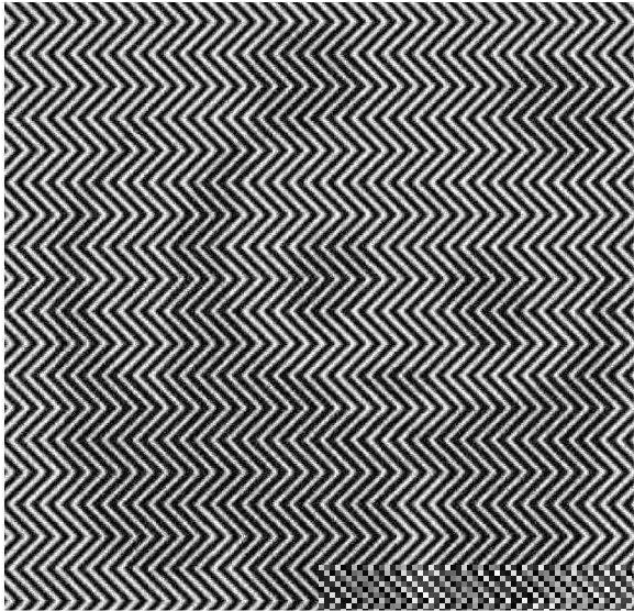 这是黑白风的斑马纹图片.但是它看起来非常混乱,而且非常复杂.
