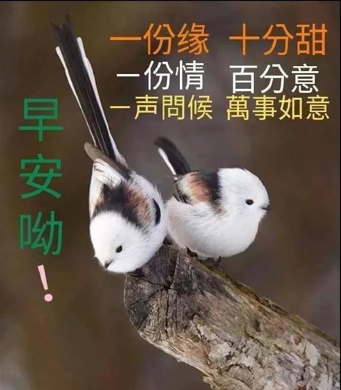 秋天早安祝福问候语说说图片 深秋早上好动态表情图片_腾讯新闻