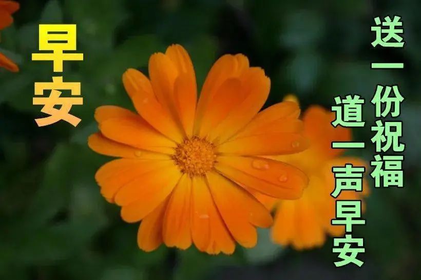 10月21日最漂亮早上好動態表情圖片早安問候祝福語圖片帶字溫馨