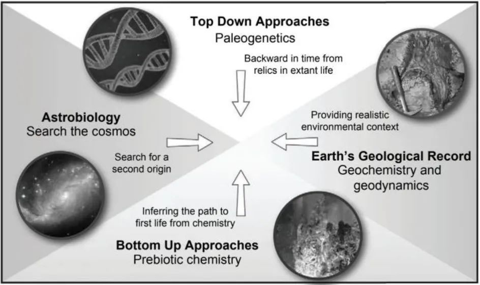 生命的起源|Science Advances：比较行星学视角看生命起源