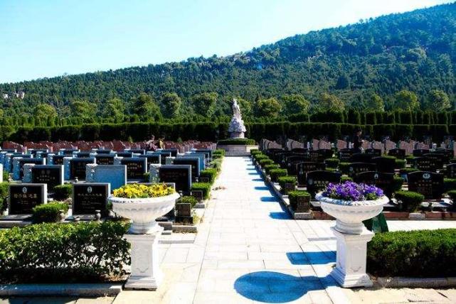 凤凰山陵墓出土木篦,上面有一副相扑图,专家却说:相扑不是摔跤