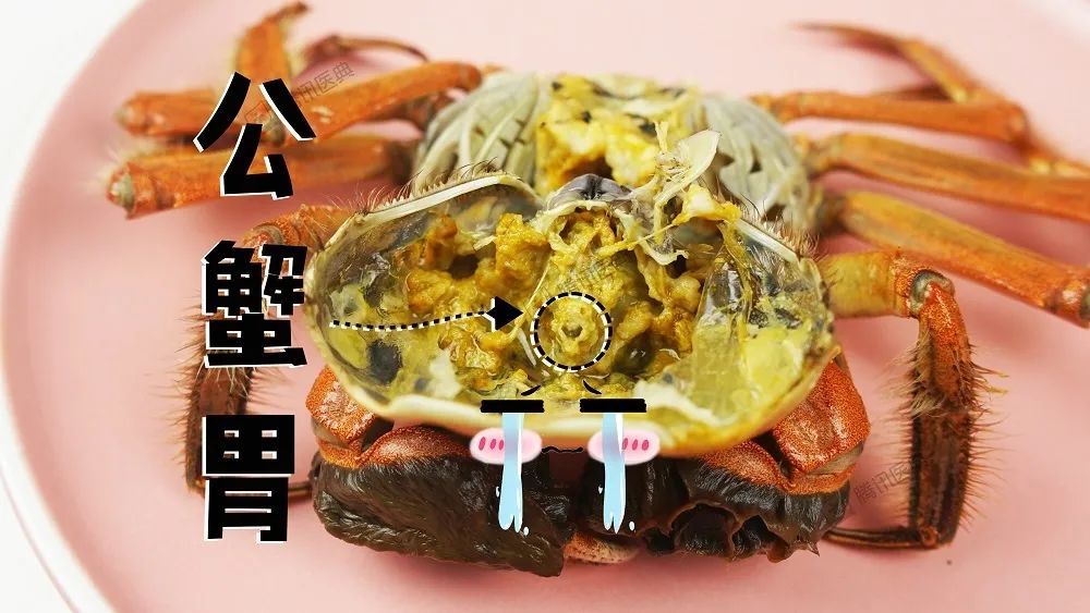 吃大闸蟹不能吃什么