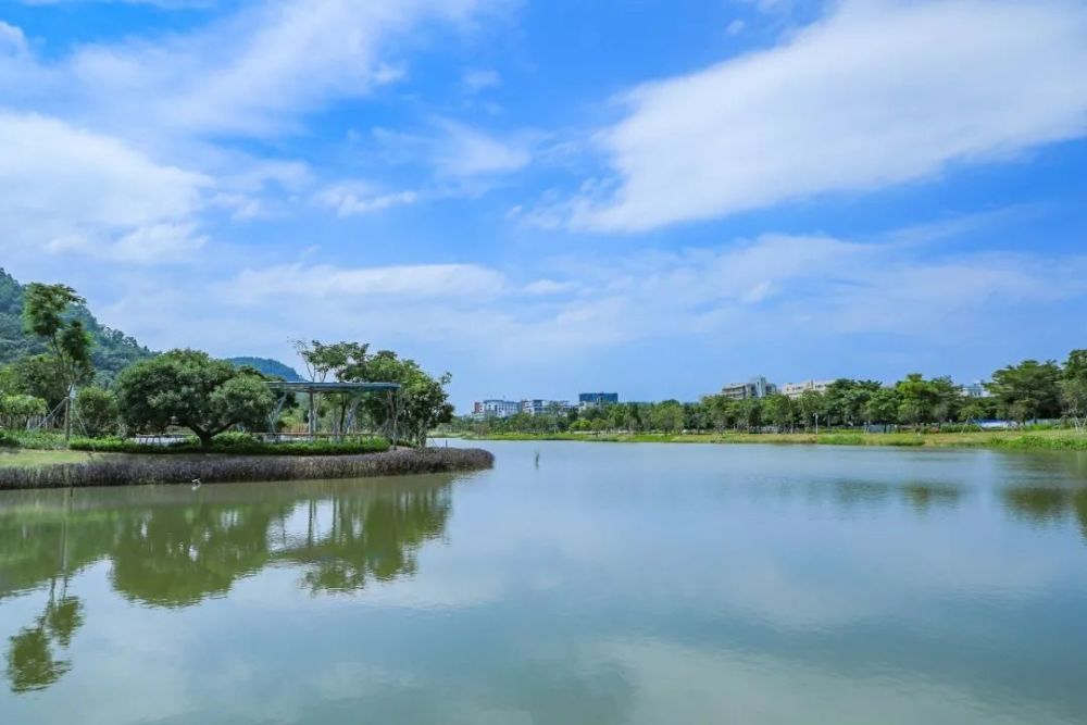 首次曝光720全景身临其境带你漫游宝安人才林公园