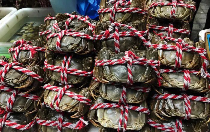 庞海,爬嗨,旁开,傍凯,绑哈,猫爪……这些千奇百怪喊法都是螃蟹在四川