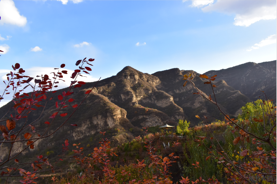 红叶|房山这处红叶，不比香山差 漫山红叶美不胜收