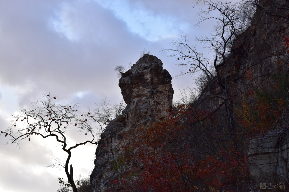 红叶|房山这处红叶，不比香山差 漫山红叶美不胜收