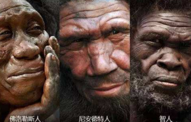 欧亚|20万年前，他们才是欧亚的唯一王者人种，为何却败给人类先祖？