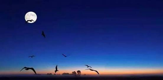 诗歌|诗人写诗的终极目的是为了什么？