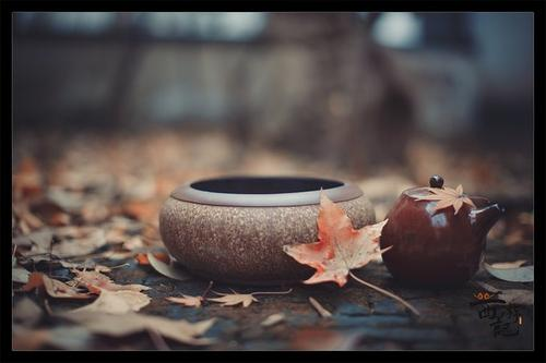 诗歌|诗人写诗的终极目的是为了什么？