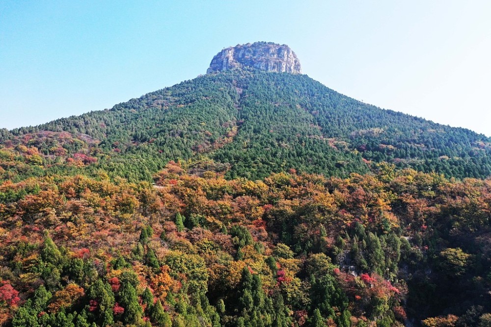 山東棗莊抱犢崮國家森林公園層林盡染觀賞正當時