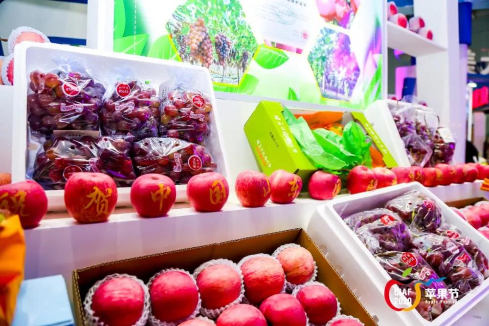 中国山东国际苹果节在烟台开幕