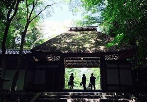 日本有一个古怪姓氏 无论男女怎么取名 译成汉语后都像在骂自己 腾讯网