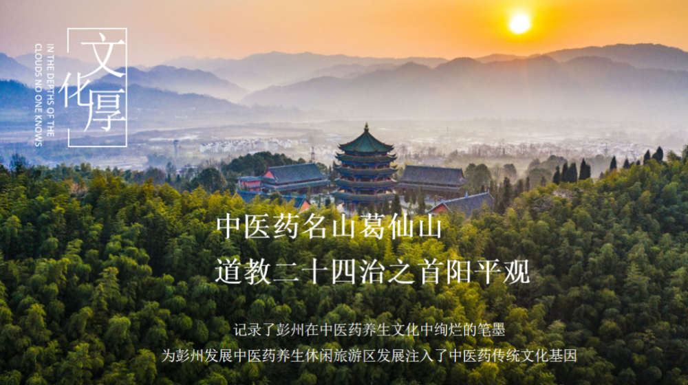 彭州中医药康养项目亮相2020年成都酒店业全球招商峰会