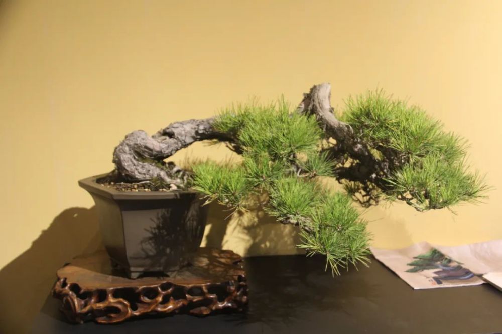 古董|2020年嘉德典亚开幕：会友人、谈艺术，再做单生意