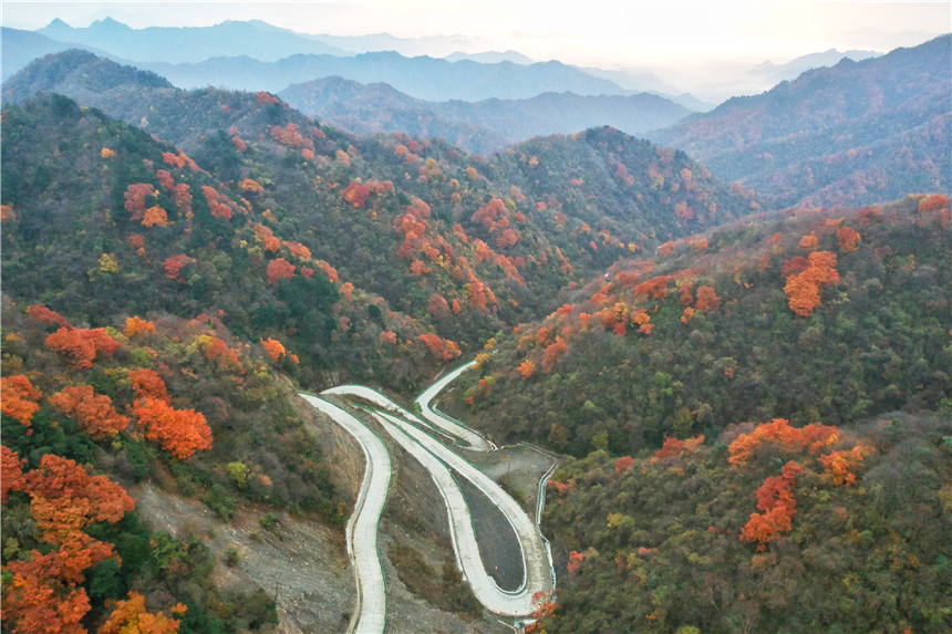 秦嶺秘境自駕遊,陝西這個小縣城,山嶺陡峭,藏著中國最美的秋天