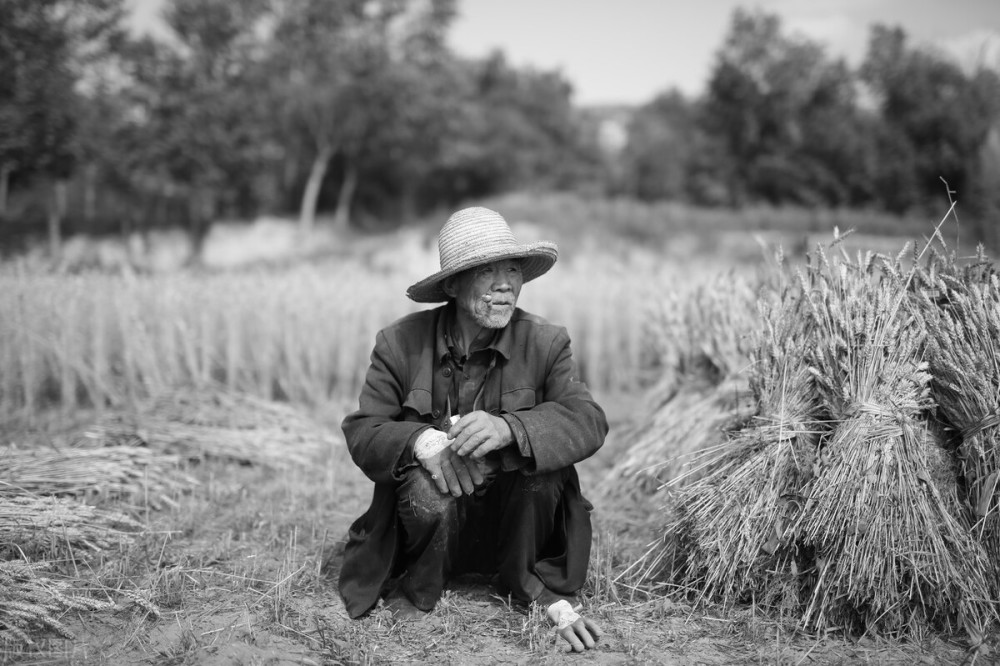 属于契诃夫的晚期作品,极其真实地描述了农民在19世纪80,90年代极度