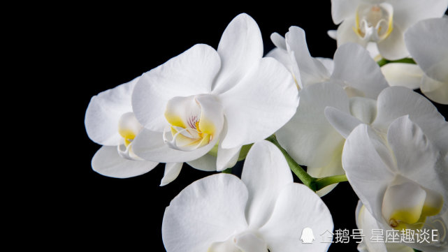 10月30日星座运势 金牛独处静思 狮子人缘不错 射手居安思危 星座运势 金牛座 射手座 狮子座