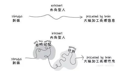 来看看内向与外向的脑回路