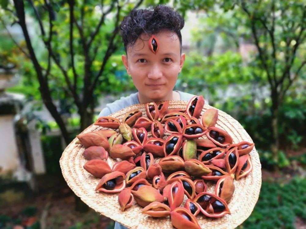 花50万吃遍世界水果,险些丧命,"水果猎人"是个什么职业?
