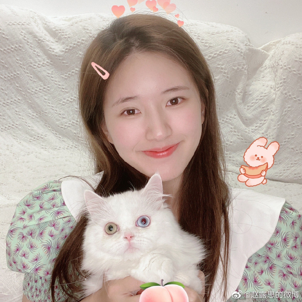 且试天下|《且试天下》班底被曝，这下杨紫、热巴真的有压力了