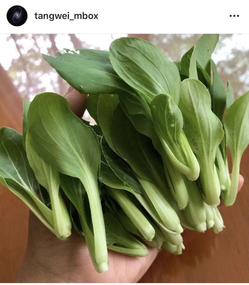 汤唯|终于要在大银幕上再看见汤唯了