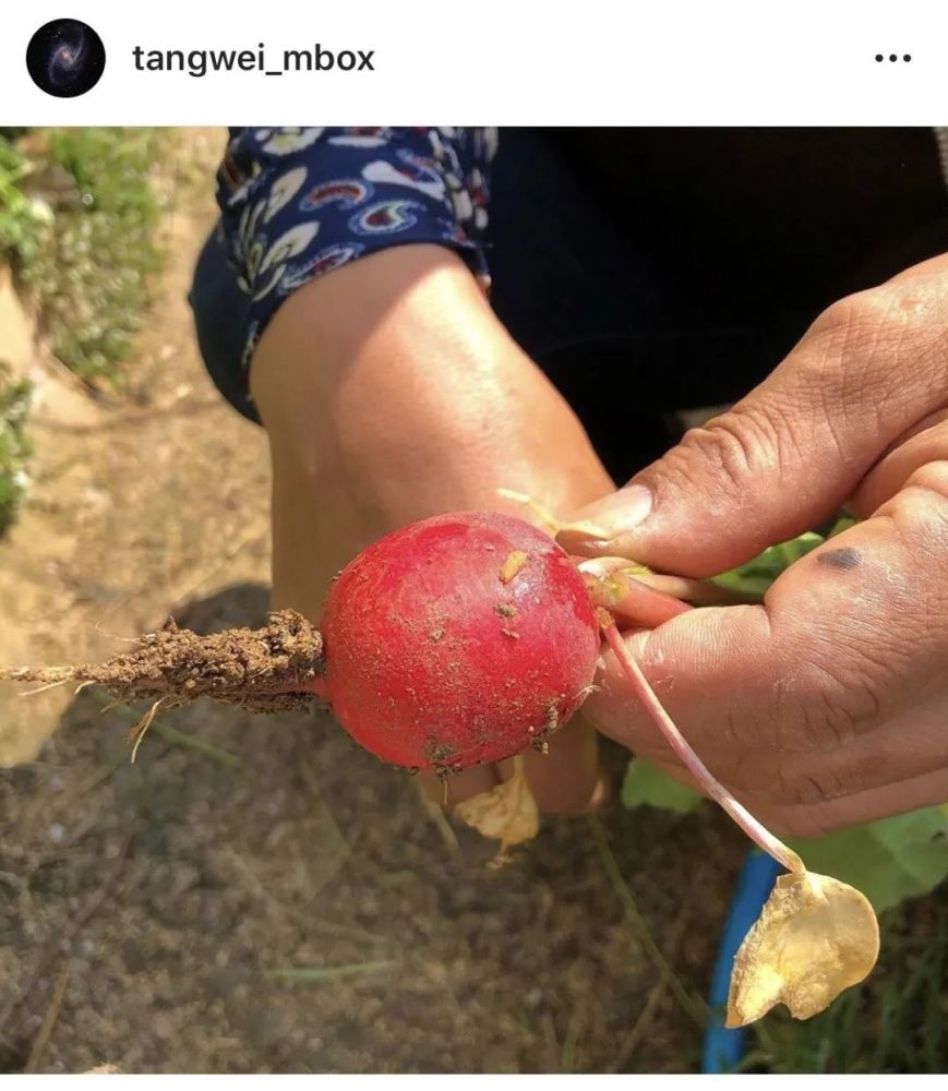 汤唯|终于要在大银幕上再看见汤唯了