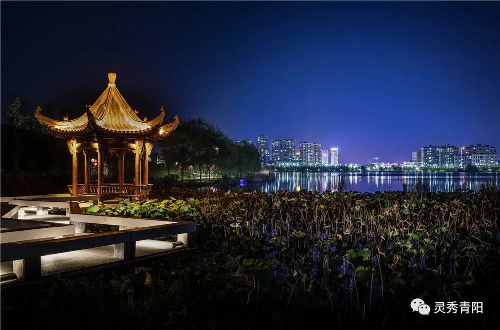 视频/图片:杨华 图文编辑:朱文睿 责任编辑:汪奇 审核:杨亮 青阳县融